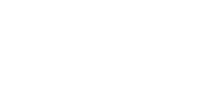 The BossHoss